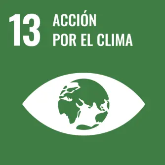 Acción por el clima objetivo de desarrollo sostenible