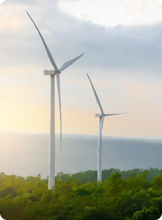 Parque eólico de energía renovable