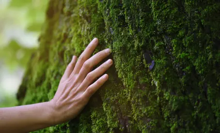 Compromiso con la naturaleza y sostenibilidad