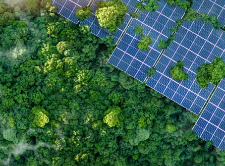 Instalación de paneles solares en entorno natural